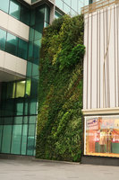 Robinsons Dubai, VIP Drop Off, one of the Outdoor Vertical Gardens