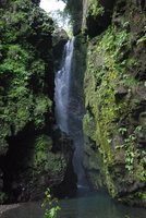 Rocks covered with herbaceous plants in the spray of a waterfall, Shikoku, Japan