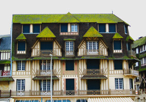Roof tiles covered by a thin layer of bright green algae, Trouville, France
