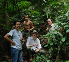 Rosario Rubite, Pascal Héni, Mark Hughes and Patrick Blanc drinking champagne in the Begonia blancii habitat, El Nido, Palawan, Philippines, May 2011