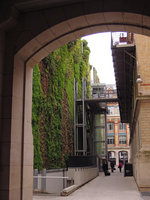 Rue d&#039;Alsace Vertical Garden, seen from under the entrance door, March 2014