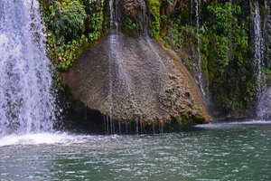 Seemannia sylvatica flowering around a travertine rock a permanent calcareous waterfall, Bonito, Mato Grosso do Sul, Brazil