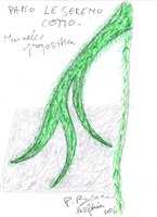 Sereno, Como, Racines Echasses du Patio, Esquisse by Patrick Blanc