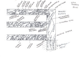 Siam Paragon, Hanging Fences, right side design by Patrick Blanc, Nov. 2005
