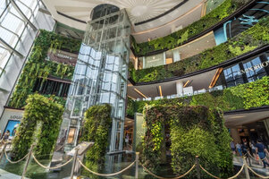 Siam Paragon Vertical Gardens by Patrick Blanc