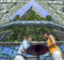 Speaking under the Vertical Garden at the top of the Torre de Cristal, Madrid