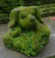 Stone dog covered in algae and mosses, Ubud, Bali