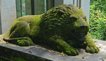 Stone Lion covered in algae and mosses, Ubud, Bali