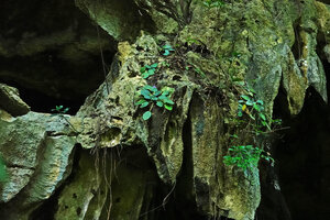 KARST AND LIMESTONE CLIFFS 2