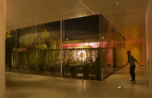 Sunset-Sunrise Ark at night, exhibition by Patrick Blanc and Hibino, 21st Century Museum, Kanazawa, Sept. 2012