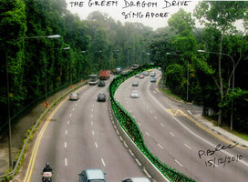 The Green Dragon Drive, Singapore, project 2010