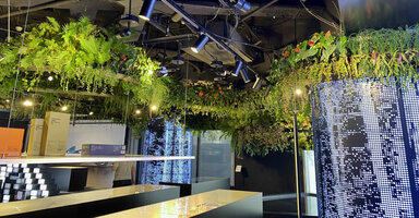 The Jungle Dragon Dance at C Future Lab, C Future City, Shenzhen