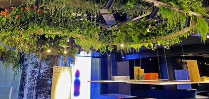 The Jungle Dragon Dance in C Future Lab, C Future City, Shenzhen, China