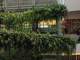The Rainforest Chandelier, six months after installation, two sections of the spires, EmQuartier, Bangkok