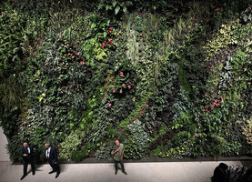 The Vertical Garden by Patrick Blanc at Kawamura Denki, Nagoya, Japan