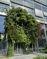 The Vertical Garden by Patrick Blanc at the Fondation Cartier in September 2024, 26 years after its creation for the exhibition Etre Nature in 1998
