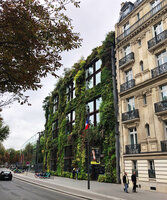 The Vertical Garden by Patrick Blanc at the Quai Branly Jacques Chirac Museum, Paris, Sept. 2022
