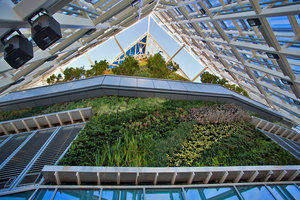 The Vertical Garden by Patrick Blanc at the top of the Torre de Cristal, Madrid