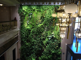 The Wild Dance, view from the balcony, six years after the plant installation, National Theater, Taipeh, Taiwan, Oct. 2015