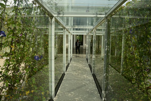 Through the glass tunnel at the Sunset-Sunrise Ark exhibition by Patrick Blanc and Hibino, 21st Century Museum, Kanazawa, Sept. 2012