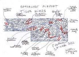 Tiger Wings Right Additions