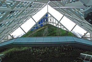 Torre de Cristal, top Vertical Garden