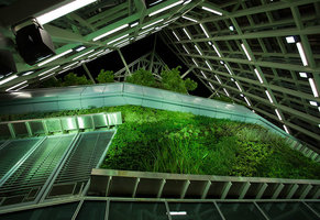 Torre de Cristal Vertical Garden by Patrick Blanc at night
