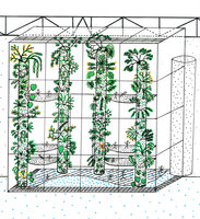 Tropical Biodiversity Totems, a project in 1995 by Patrick Blanc for the empty glasshouse of the Cite des Sciences et de l&#039;Industrie in Paris