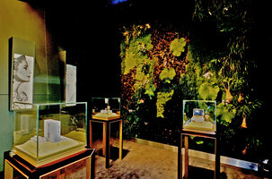 Van Cleef &amp; Arpels, vertical garden with Streptocarpus by Patrick Blanc, exposition S.I.H.H, Genève (2002)