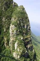 Vertical forest on sandstone tower, Gunung Machinchang, Langkawi, Malaysia