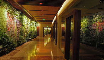 Vertical Garden and its reflections, Sofitel Palm Jumeirah, Dubai