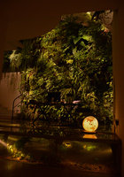 Vertical garden at night in Patrick&#039;s home