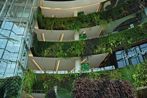 Vertical Garden balustrades plant species selection and design by Patrick Blanc at Siam Paragon, Bangkok