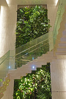 Living Canyon vertical garden by Patrick Blanc as a mirror of the Universe of Water Particles by TeamLab, Ginza Six, Tokyo