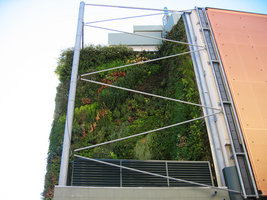 Vertical Garden by Patrick Blanc, covering the car parking above les Halles, right alcove corner, Avignon, France