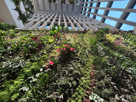 Vertical garden by Patrick Blanc in the architectural office by Kentaro Ishida for Kawamura Denki, Nagoya, Japan