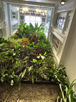 Vertical garden by Patrick Blanc in the patio at Duxton 20, Singapore