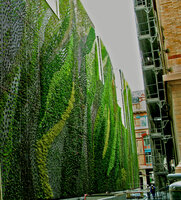 Vertical Garden by Patrick Blanc, just after plant installation, April 2008, Rue d&#039;Alsace, Paris