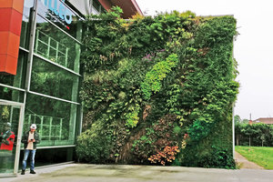 Vertical Garden by Patrick Blanc, Ovilleo, Veolia, Outdoor part and indoor part visible through the transparent building glass façade, Marquette, France