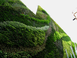Vertical Garden by Patrick Blanc, Rue d&#039;Alsace, Paris, May 2008