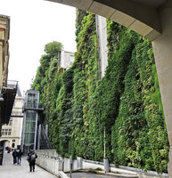 Vertical garden by Patrick Blanc, Rue d&#039;Alsace, Paris, Oct. 2019