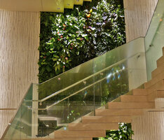 Living Canyon vertical garden by Patrick Blanc through the floors at Ginza Six, Tokyo