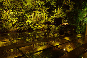 Vertical Garden, desk and reflection, Patrick Blanc Home