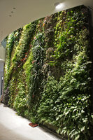 Vertical Garden, indoor part, in a private house, Beirut