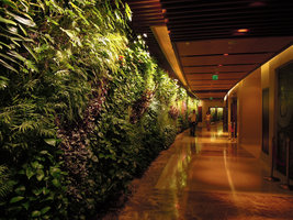 Vertical Garden in the corridor, Sofitel Palm Jumeirah, Dubai