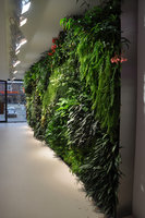 Vertical Garden, lateral view, Internet Support, Bielefeld, Germany