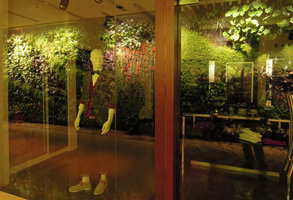 Vertical Garden reflection in a shop, Sofitel Palm Jumeirah, Dubai