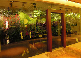 Vertical Garden reflections in a corridor shop, Sofitel Palm Jumeirah, Dubai