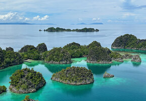 View of the karst islets covered with forest from Piaynemo, Fam Islands, Raja Ampat, West Papua