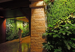 Walking in the corridor among the plants, Sofitel Palm Jumeirah, Dubai